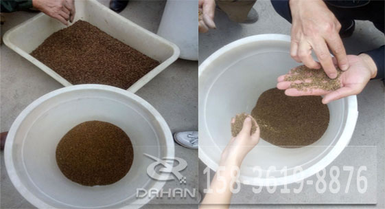 黑苦蕎茶 黑苦蕎茶振動(dòng)篩分機(jī)試機(jī)效果對(duì)比